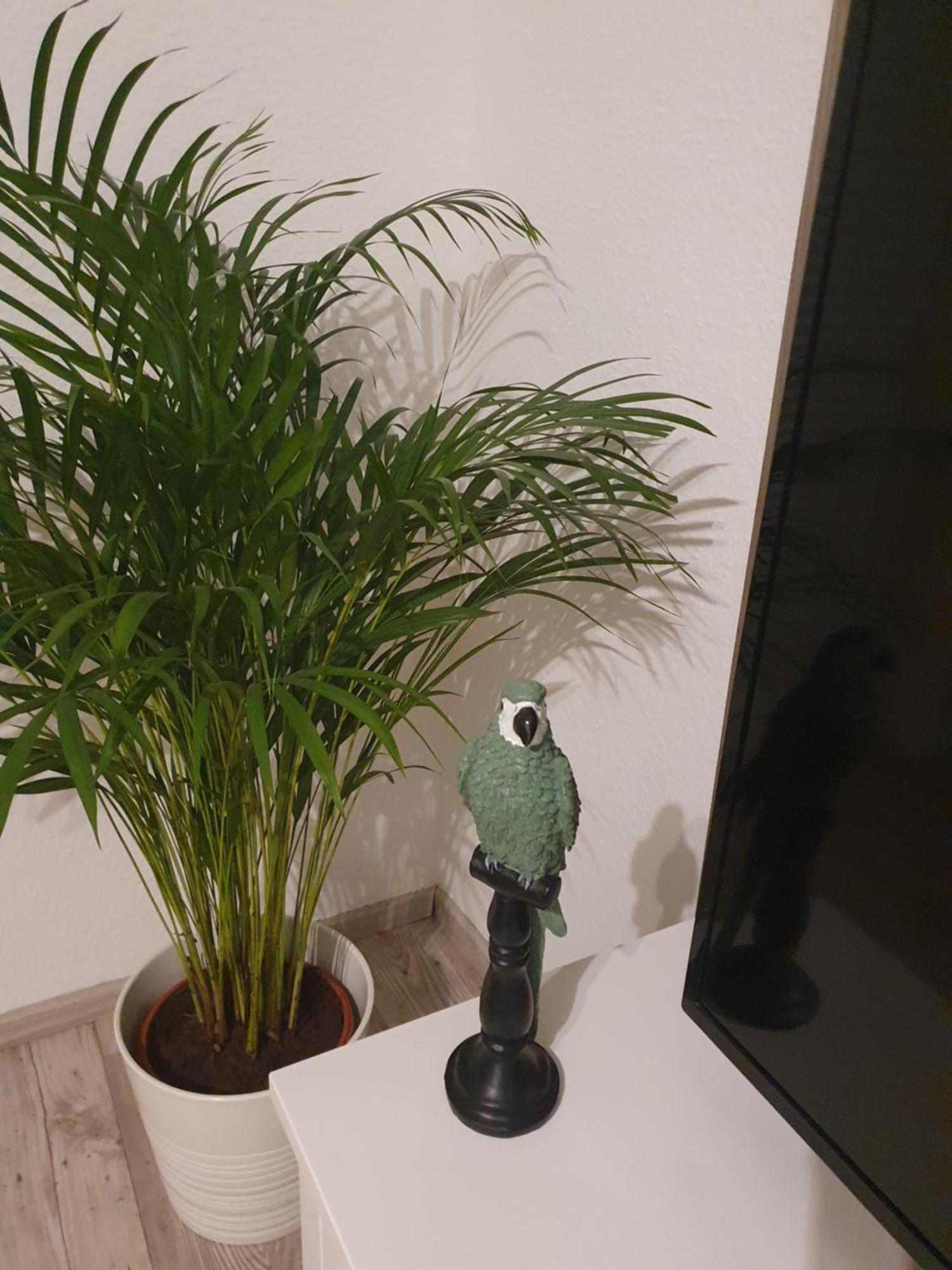 Charmante Haushaelfte Mit Garten Und Terrasse Φλένσμπουργκ Δωμάτιο φωτογραφία